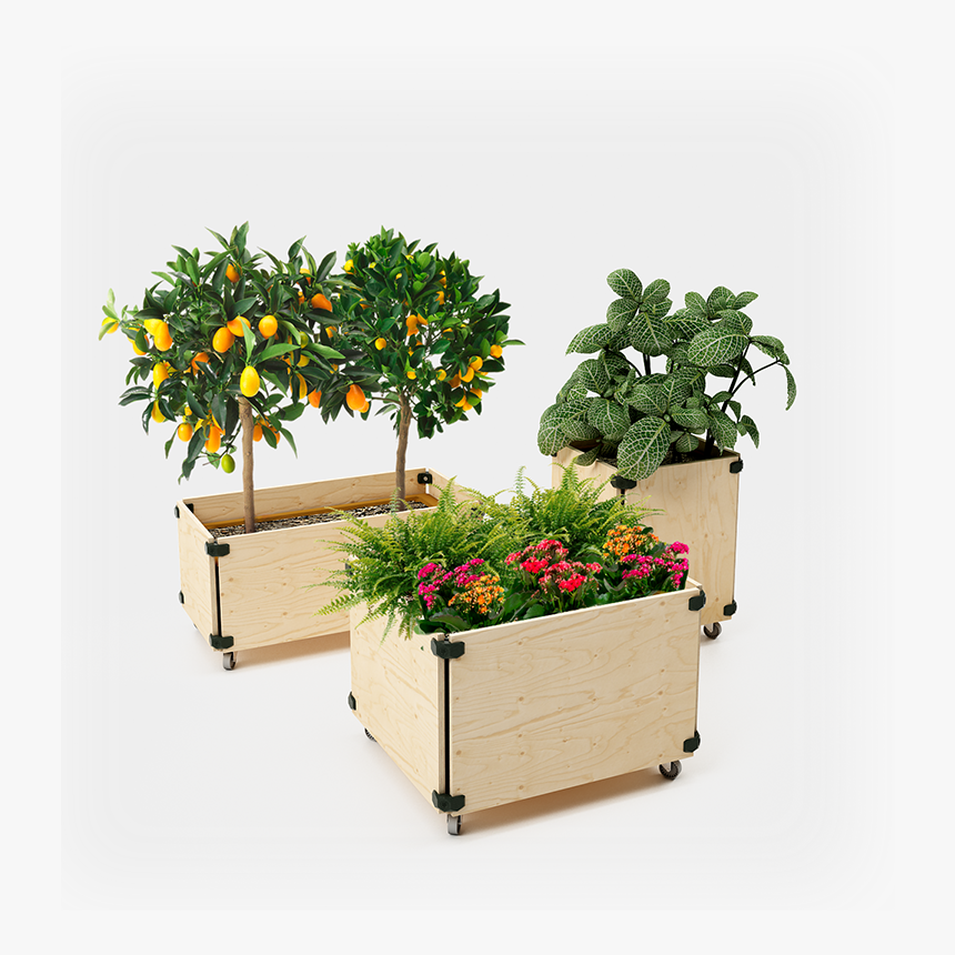 Play Wood Connectors, HD Png Download