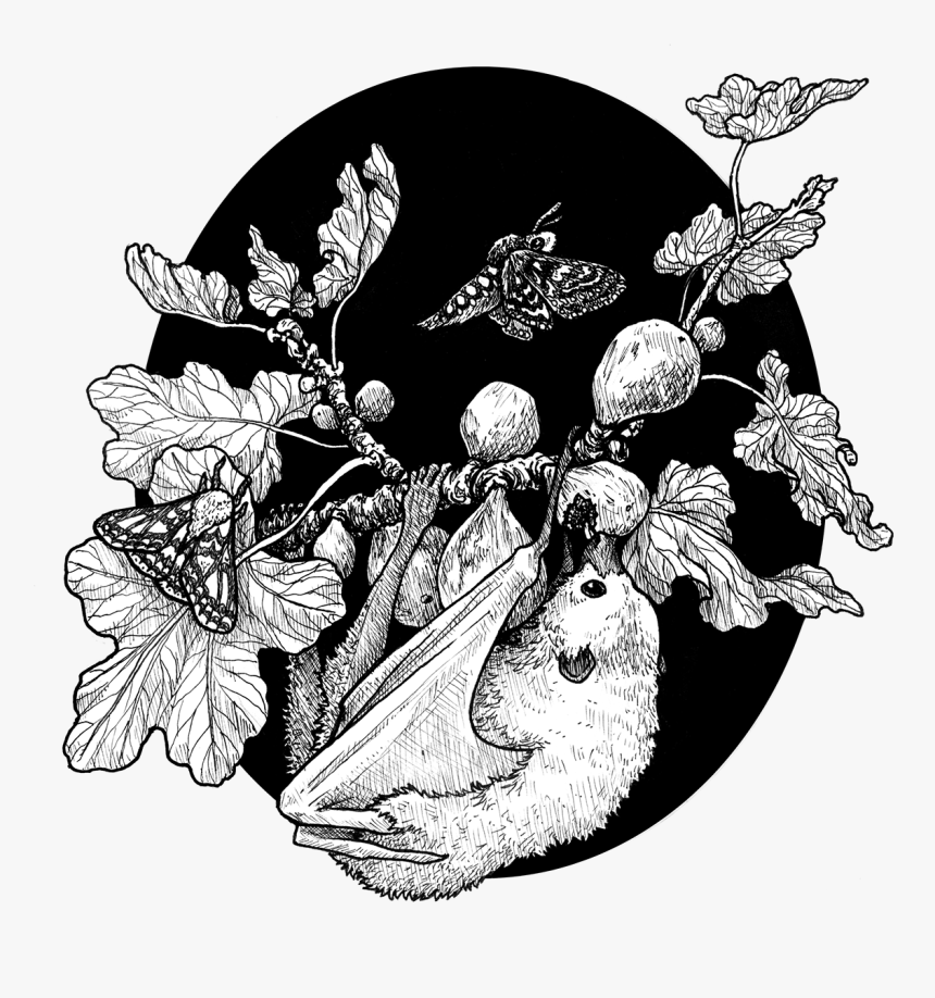 Flora Png, Transparent Png