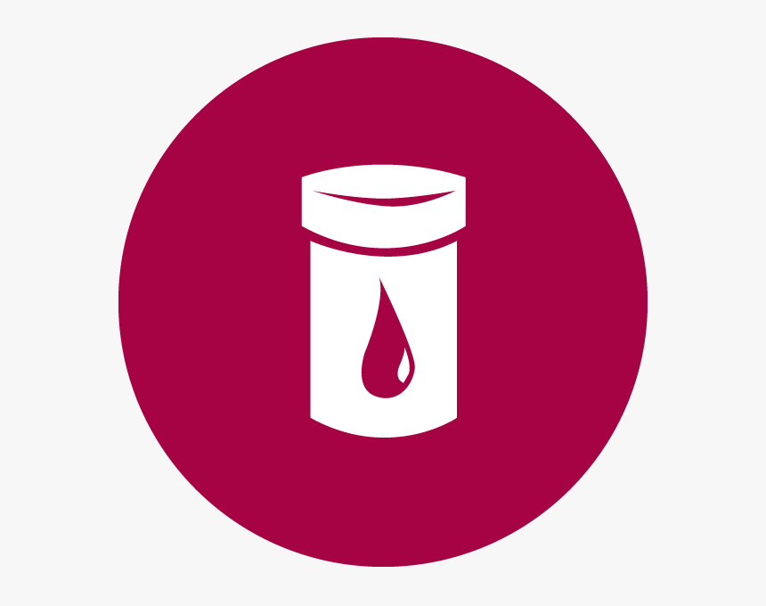 Circle, HD Png Download