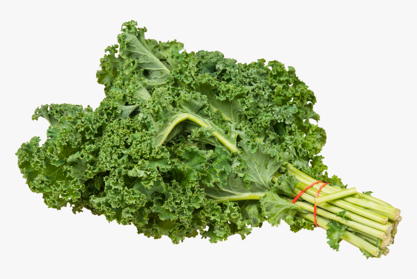 Kale Bundle Png Image - Kale Png, Transparent Png