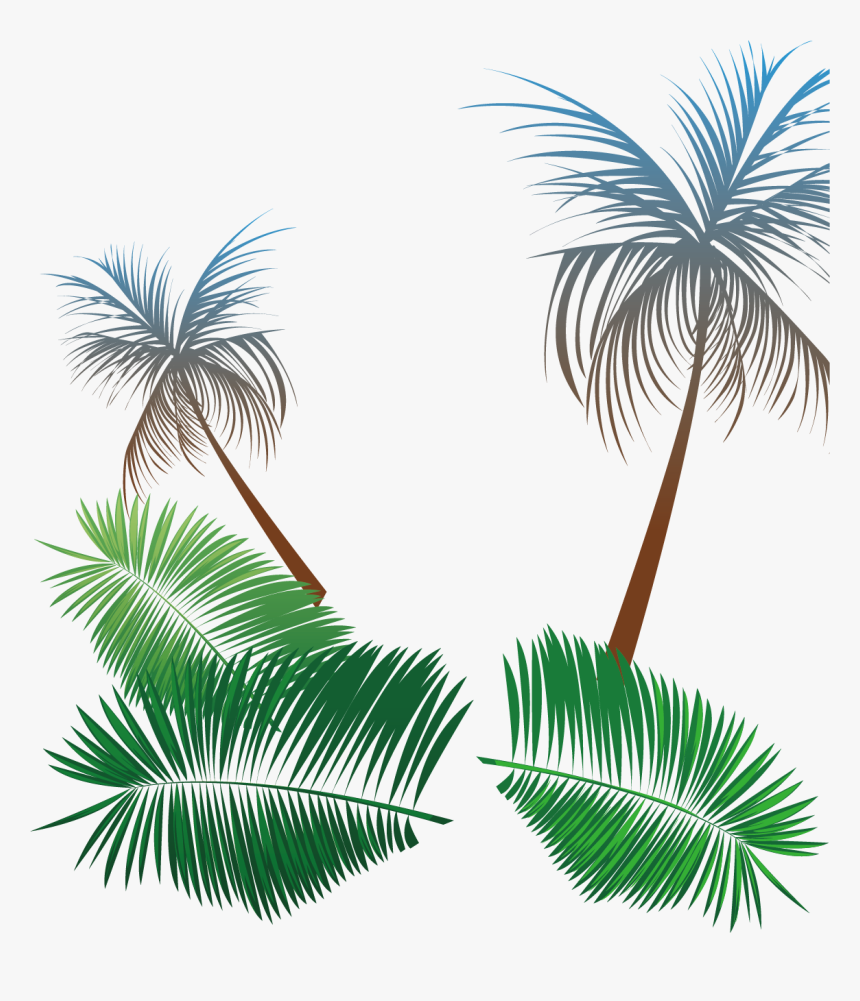 Transparent Palm Tree Leaf Png - Transparent Beach Party Png, Png Download