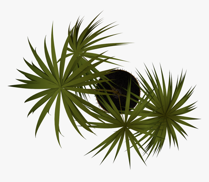 Tubos De Imagen - Vegetacion En Planta Png, Transparent Png