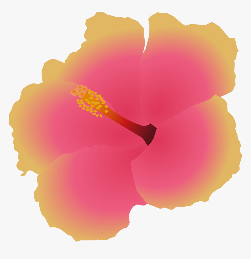 Hawaiian Hibiscus, HD Png Download