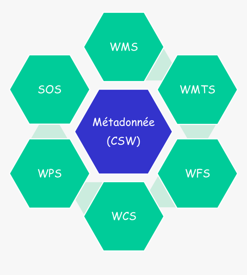 Process Of Election In India, HD Png Download