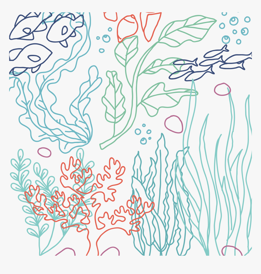 Banner Free Download Graphic Design Bottom Transprent - Dibujo Alga Fondo Transparebte, HD Png Download