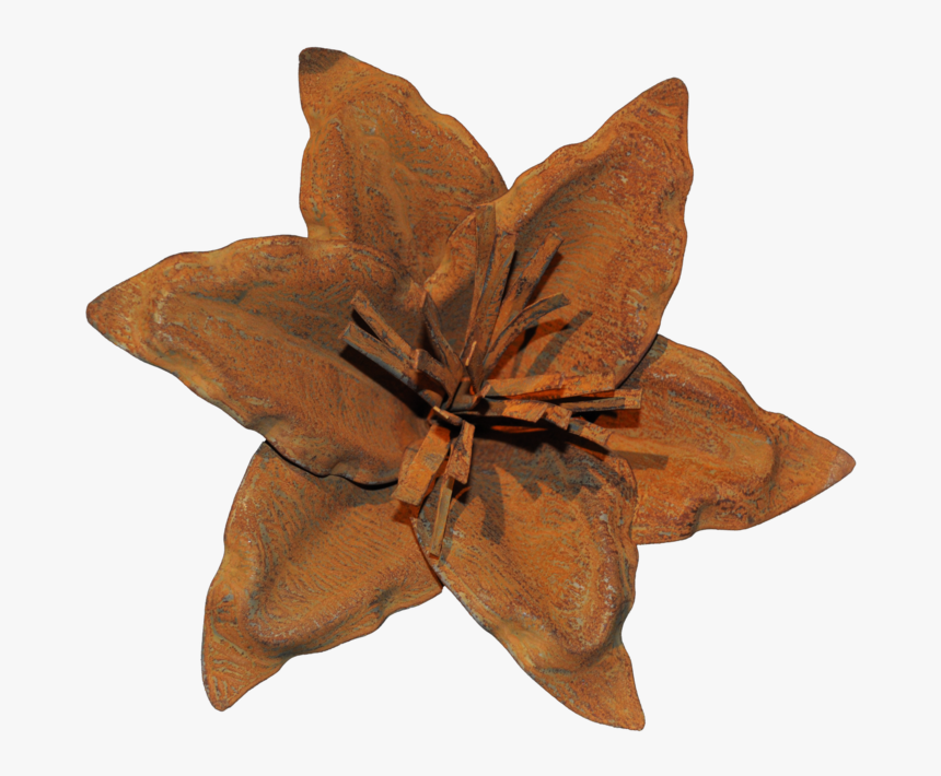 Clematis, HD Png Download