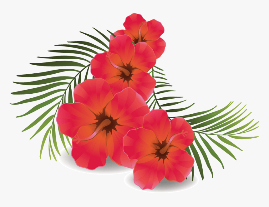 Flower,flowering Family - Transparent Background Images Hd, HD Png Download