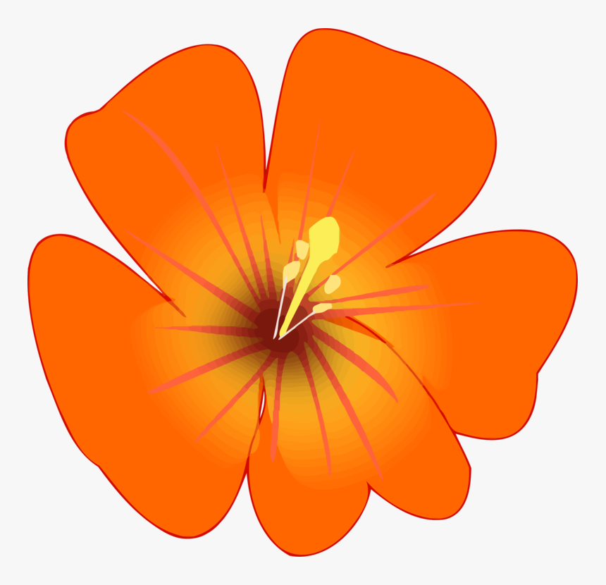Hibiscus,plant,flower - Clip Art, HD Png Download