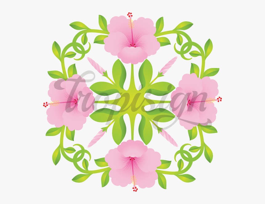 Hibiscus Vector Png, Transparent Png