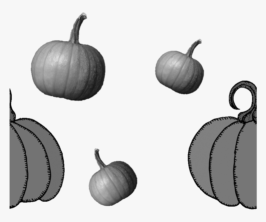 Transparent White Pumpkin Png - Pumpkin Clip Art, Png Download