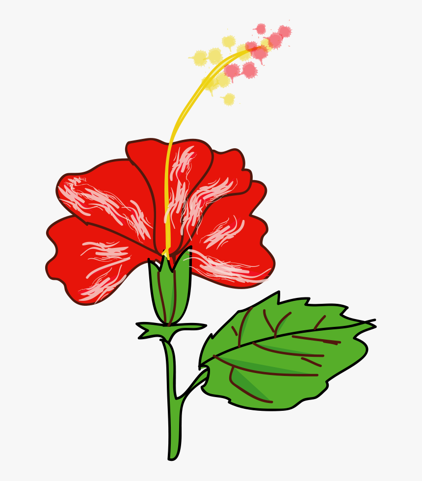 Flower Hibiscus - Flower Of A Plant Clip Art, HD Png Download