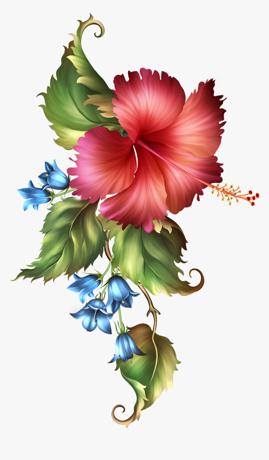 Fashionably Florale Hoe, Simply Beautiful, Flora, Frames, - Cuadro De Pinturas Png, Transparent Png