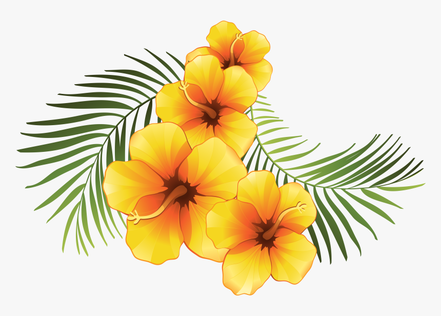 Exotic Floral Decoration Transparent Png Clip Art Imageu200b - Tropical Flowers Transparent Background, Png Download