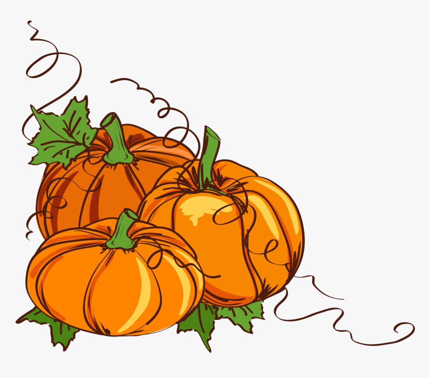 Thanksgiving Pumpkin Clipart At Getdrawings - Pumpkin With Vines Clipart, HD Png Download