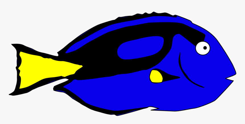 Fish,yellow,beak - Cartoon Blue Tang Png, Transparent Png