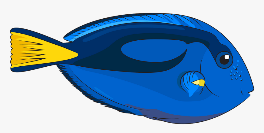 Illustration, HD Png Download