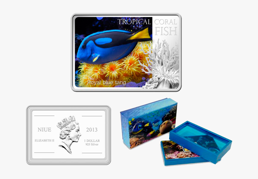 Transparent Blue Tang Png - Marine Biology, Png Download