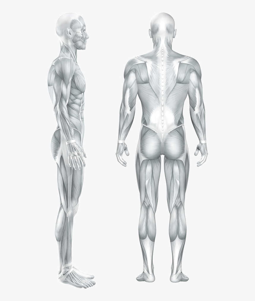 People Standing Back Png, Transparent Png