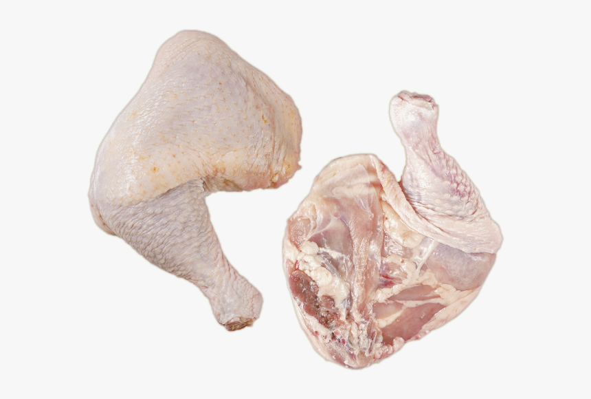 Quarter Leg, HD Png Download
