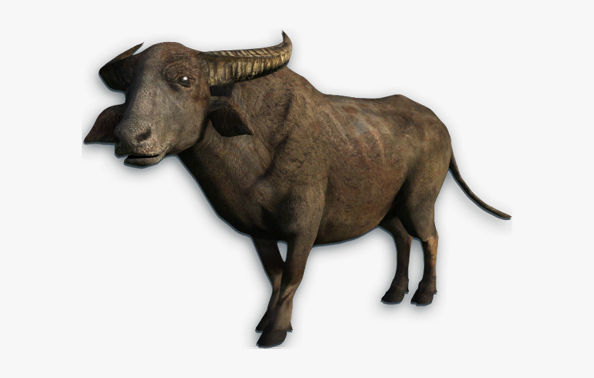 Water Buffalo Png Transparent Picture - Animals That Cannot Climb Trees, Png Download