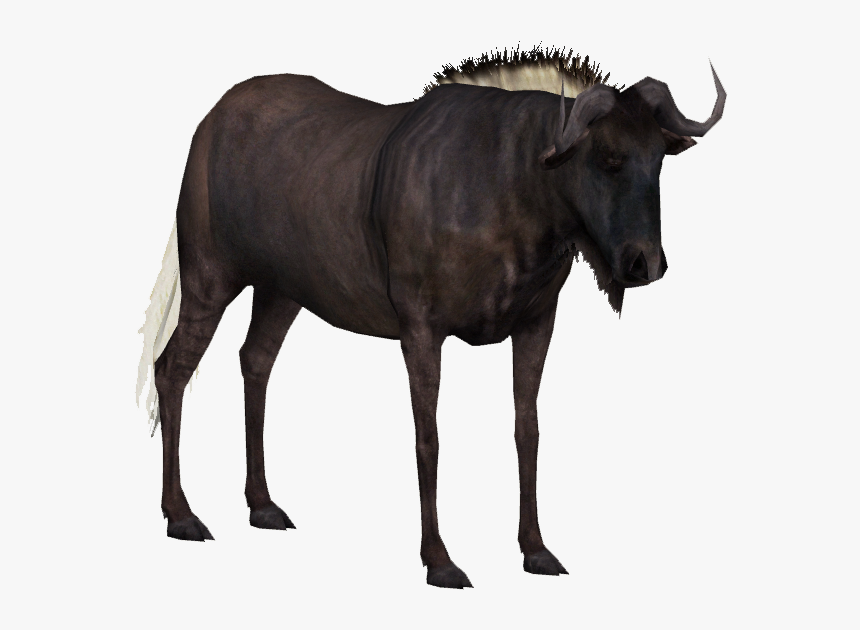 Water Buffalo Png Transparent Hd Photo - Wildebeest Clear Background, Png Download