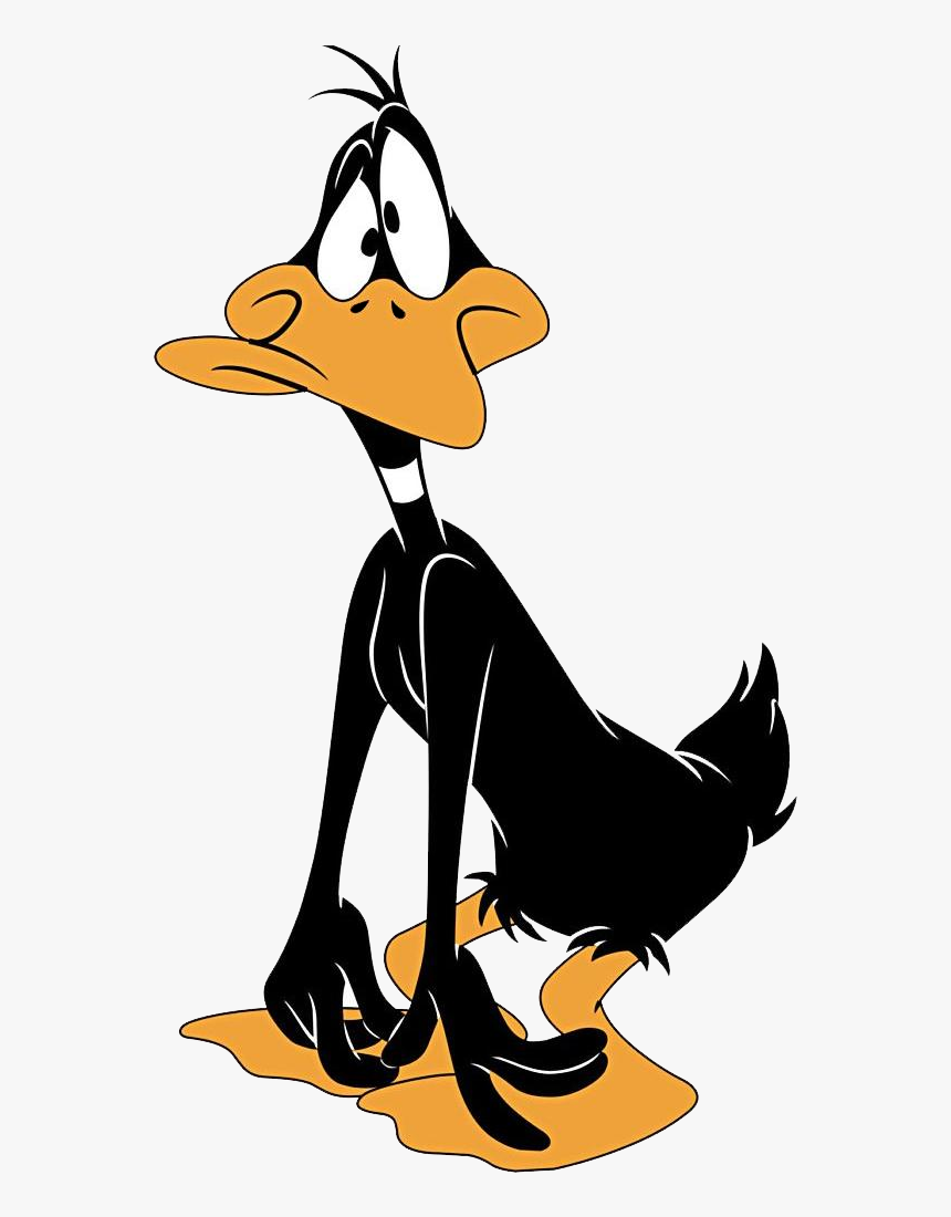 Daffy Duck Cartoons - Daffy Duck, HD Png Download