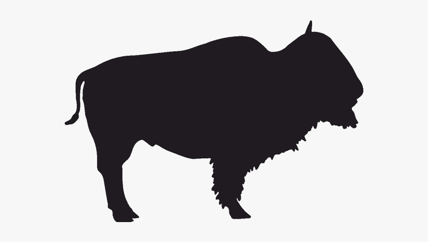 Creamery Brook Bison Buffalo Bills Jackson - Transparent Buffalo Silhouette, HD Png Download