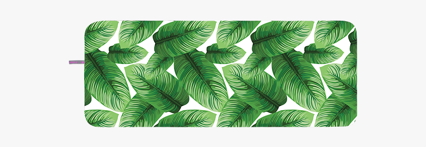 Sabal Minor, HD Png Download