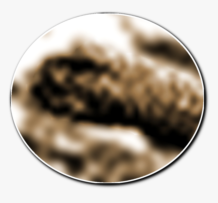 Transparent Loch Ness Monster Png - Circle, Png Download