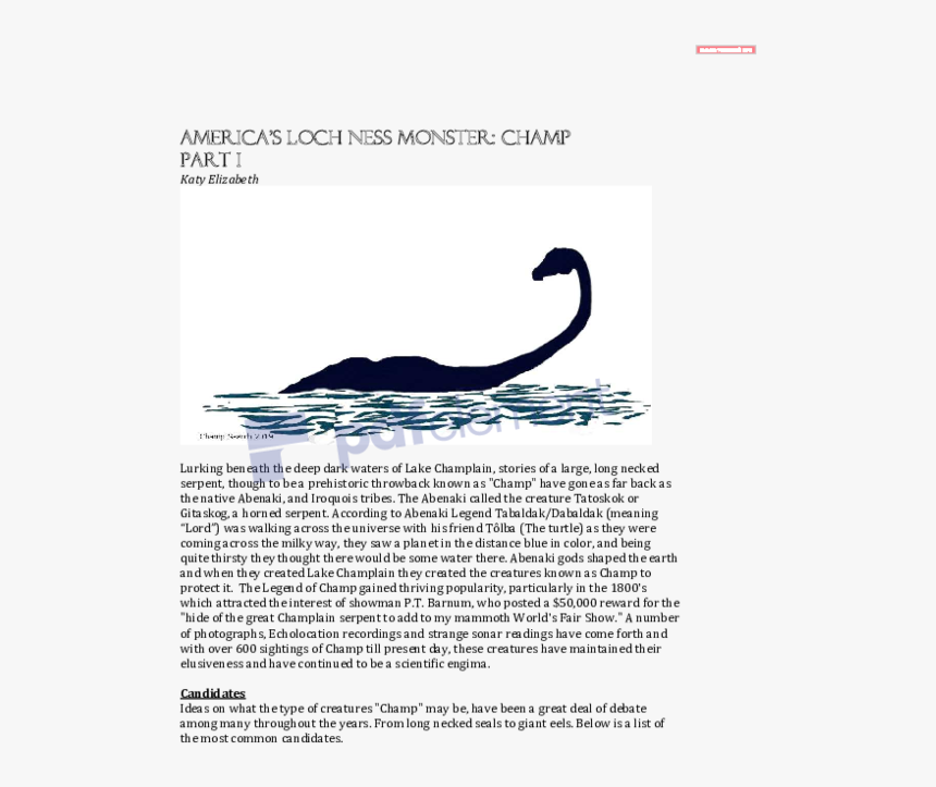 Invertebrate, HD Png Download