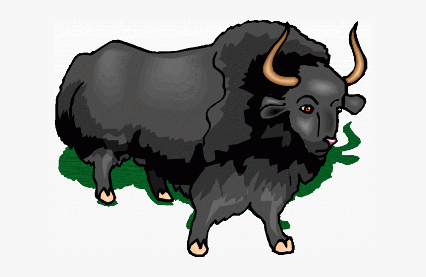 Muskox Clipart Buffalo - Bull, HD Png Download