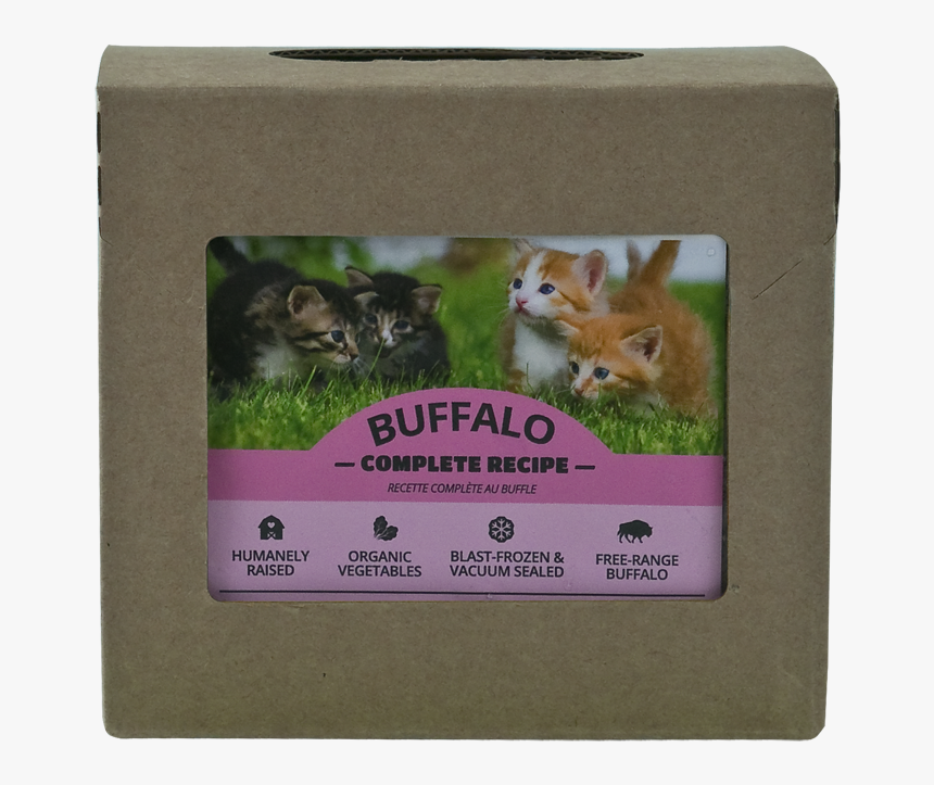 Buffcat14 - Chinchilla, HD Png Download