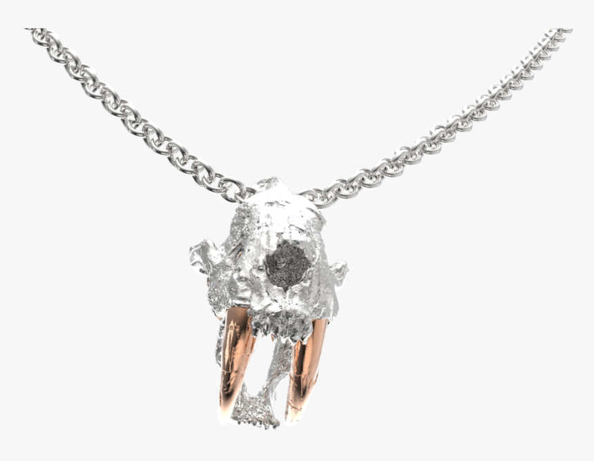 Transparent Saber Tooth Tiger Png - Pendant, Png Download