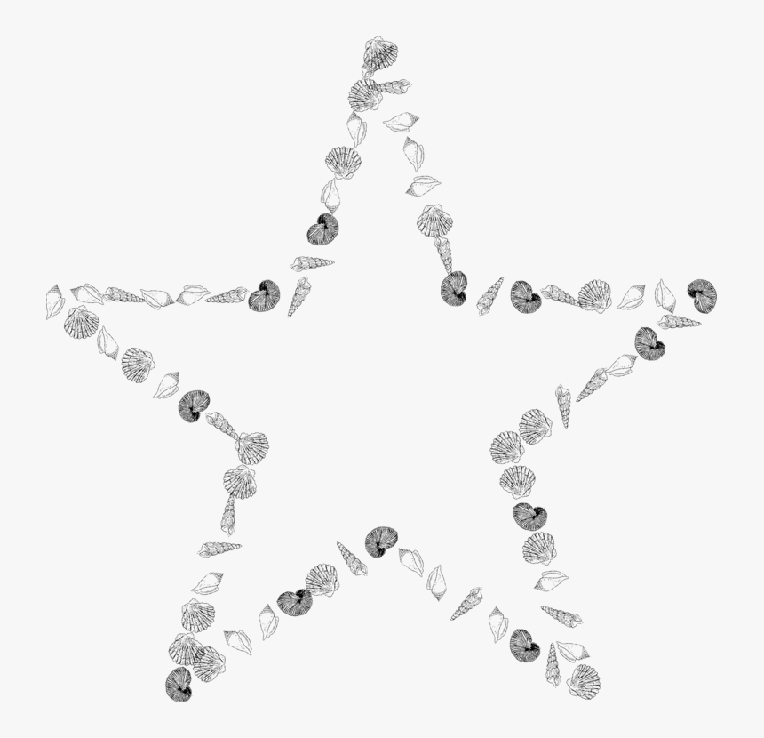 Jewellery,chain,body Jewelry - Necklace, HD Png Download