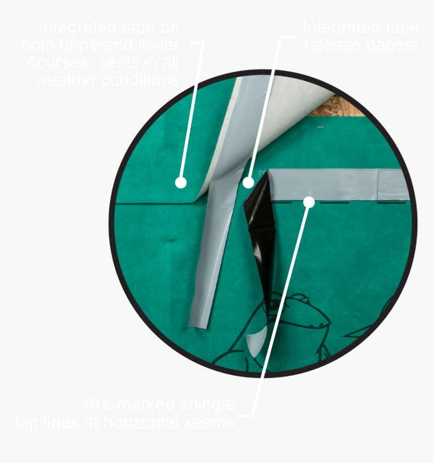 Circle, HD Png Download