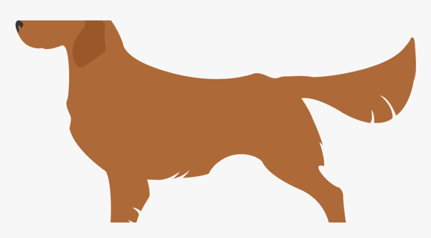 Golden Retriever Clipart Beige - Companion Dog, HD Png Download