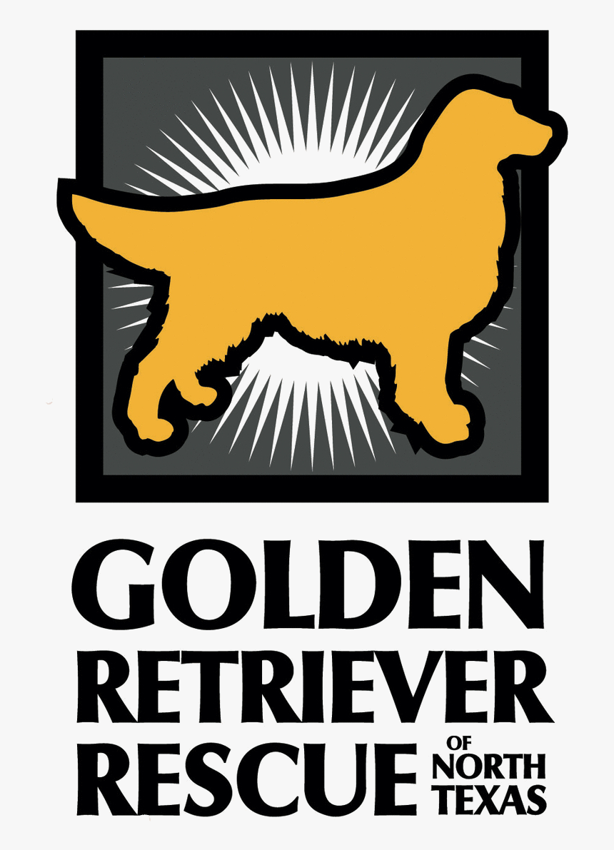 Golden Retriever Png, Transparent Png