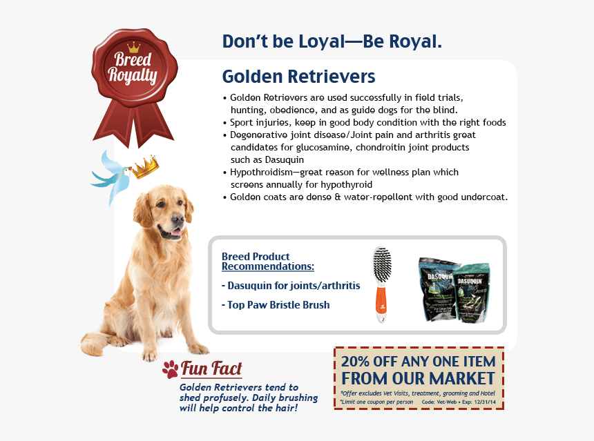Companion Dog, HD Png Download