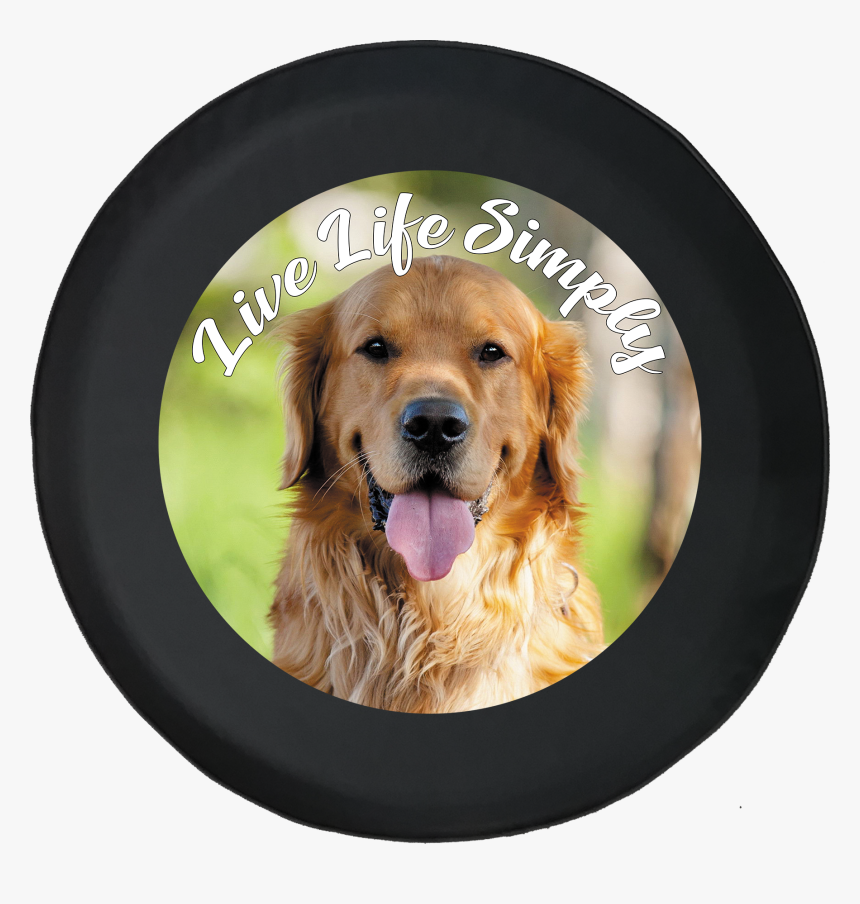 Golden Retriever Full Hd, HD Png Download