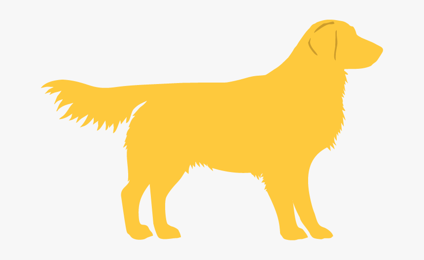 Grls Image - Golden Retriever Logo Png, Transparent Png