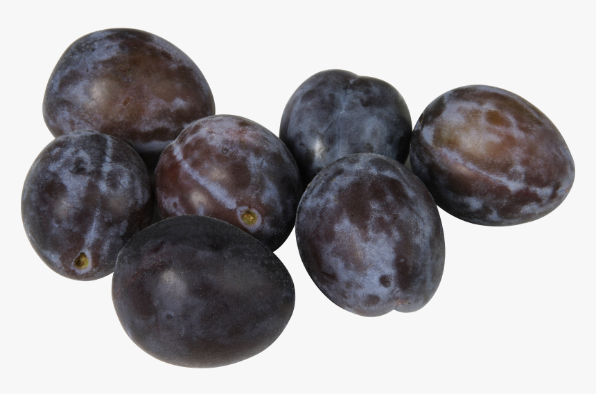 Transparent Fruit Tree Png - Plum Png, Png Download