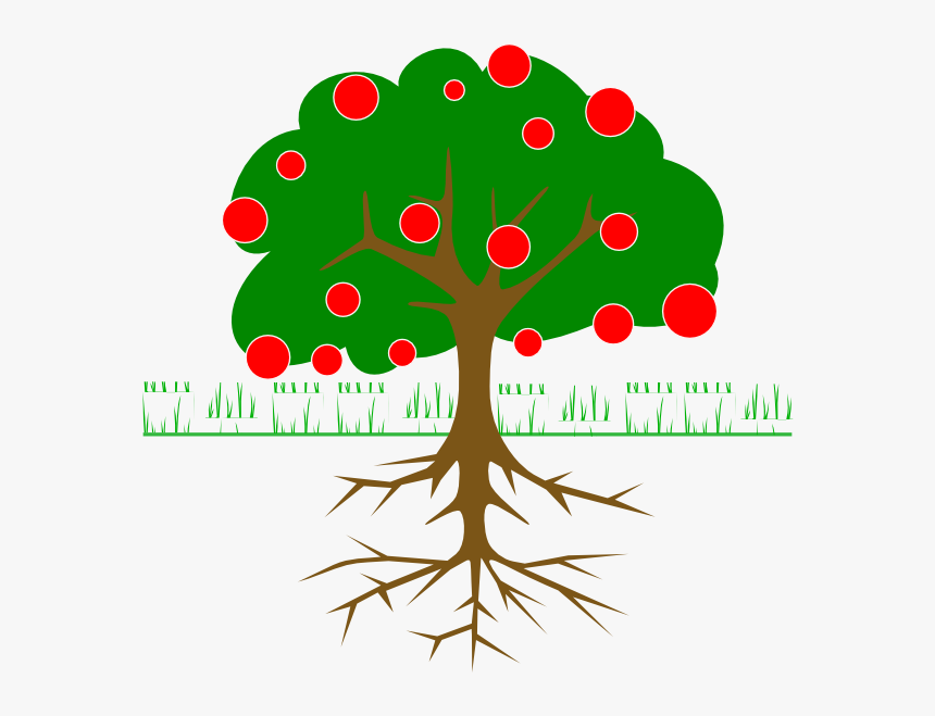 Tree With Fruit Clipart, HD Png Download
