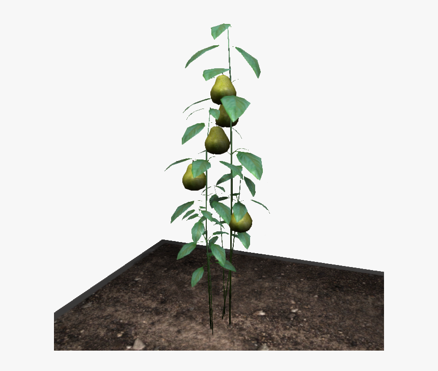 Pearthing Fruit - Lime - Empyrion Galactic Survival Fruit, HD Png Download