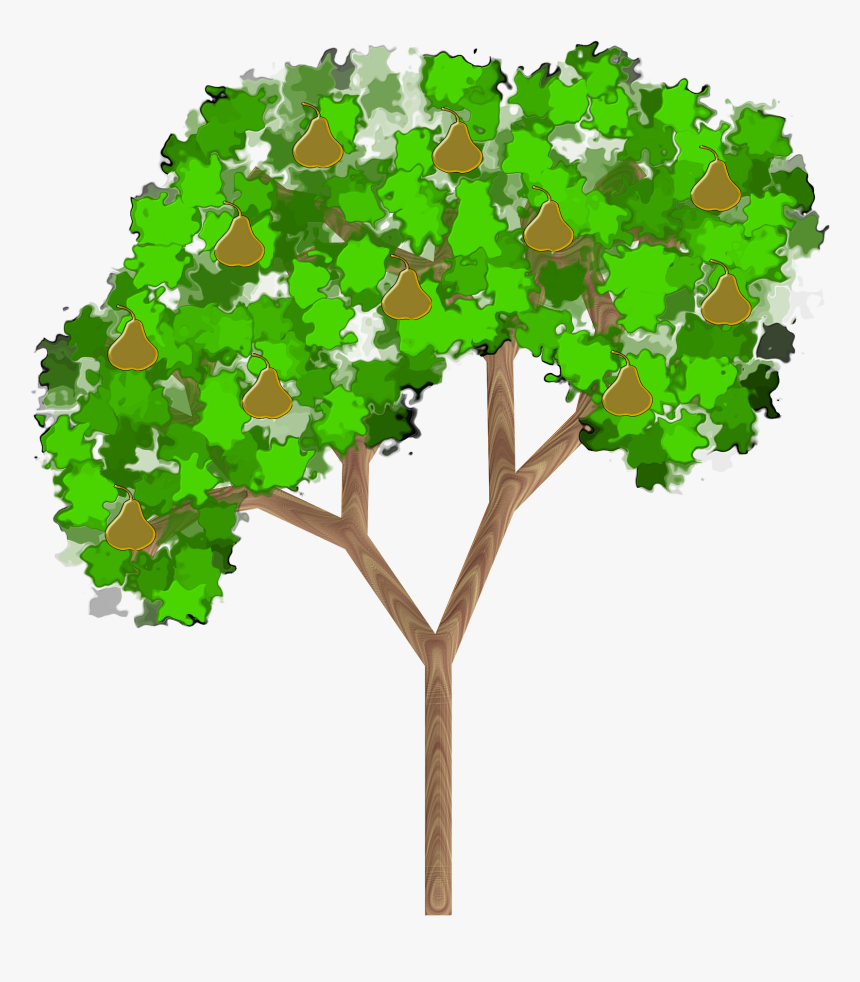 Plant,leaf,shrub - Pear Tree With Fruit Clip Art, HD Png Download