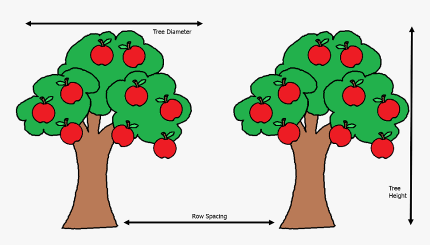 Uk Diseases Of Fruit - Apples On A Tree Clipart, HD Png Download