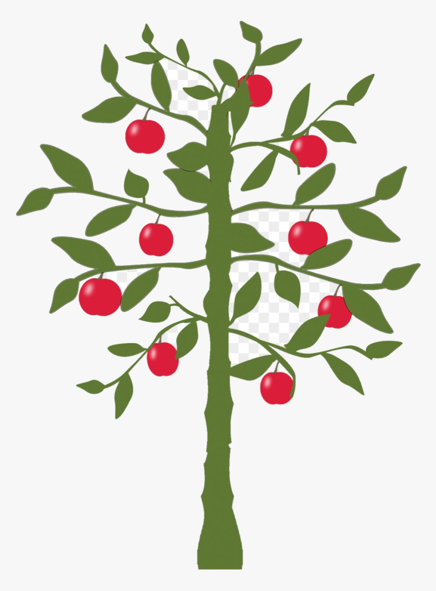 Apple Tree Park Nature Fruit Green Worlds Fastest Indian - World's Fastest Indian Lemon Tree, HD Png Download