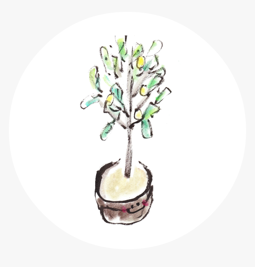 Fruit Tree - Cake - Cake, HD Png Download