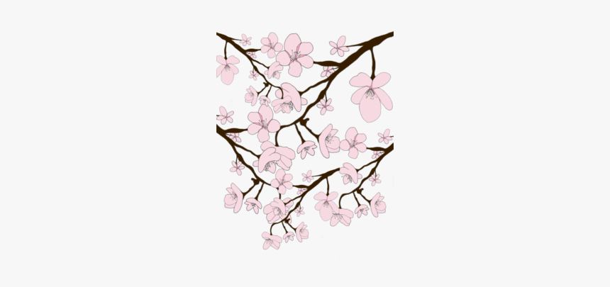 Sakura Blossoms - Sakura, HD Png Download