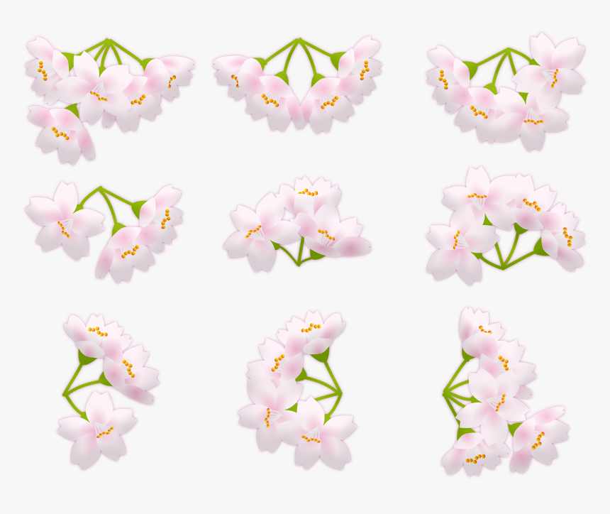 Sakura Blossom Pink Cherry Blossom Japan Free Picture - Lily Family, HD Png Download