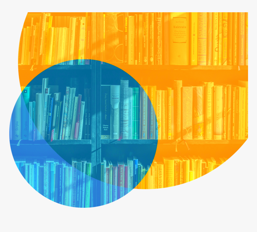 Successful People Reading Books, HD Png Download